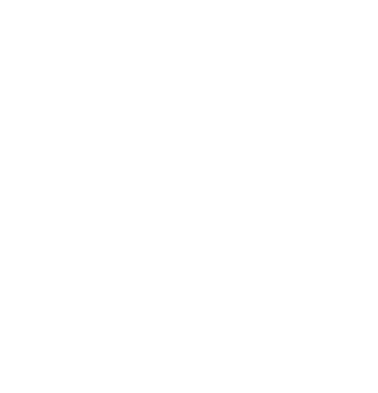 Pipeline Perfect logo